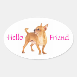 Hallo Freund Chihuahua Aufkleber