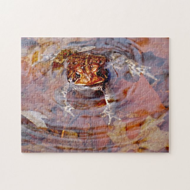 Hallo Freund Toad (Horizontal)