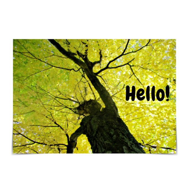 "Hallo!" Friendly Tree Card Karte (Von Creator hochgeladen)