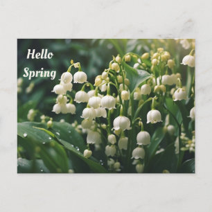 Hallo Frühling Maiglöckchen Blumen Postkarte