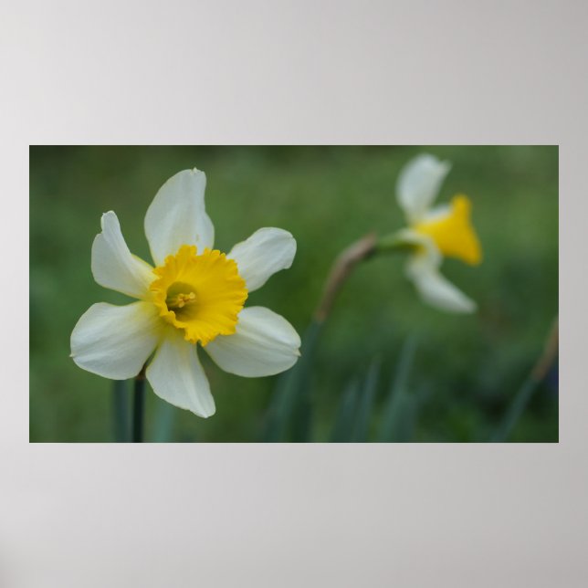 Hallo Frühling! Poster (Vorne)