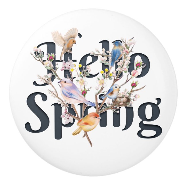 Hallo Frühlingsvögel Keramikknauf (Vorderseite)