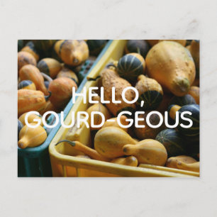 Hallo, Gourd-geous Postcard Postkarte