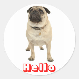 Hallo Gruß Mops Welpen Hund Aufkleber