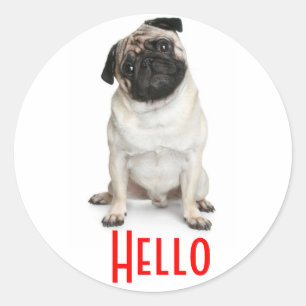 Hallo Gruß Mops Welpen Hund Aufkleber