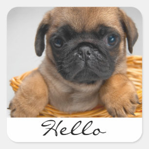 Hallo Gruß Pug Welpe Hund Aufkleber