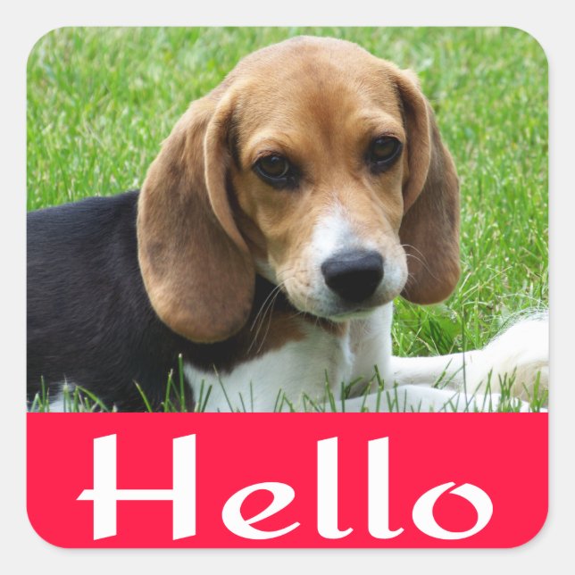 Hallo / Hallo Beagle Welpe Hund Red Gruß Sticker (Vorderseite)