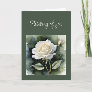 Hallo Hallo Denken Sie an Sie White Rose Grüne Karte