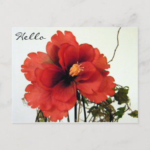 Hallo, Hallo/Gelegenheiten_ Postkarte