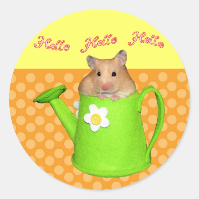 Hallo hello hamster runder aufkleber (Vorderseite)