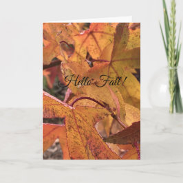 "Hallo Herbst!" Grußkarte Karte