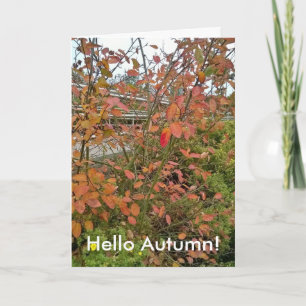 Hallo Herbst Karte