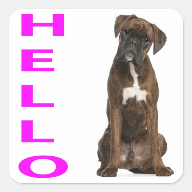 Hallo / Hi Boxer Puppy Dog Purple Grußaufkleber Quadratischer Aufkleber (Vorderseite)