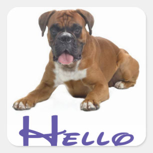 Hallo / Hi Boxer Welpen Hund Gruß Aufkleber
