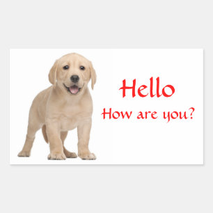 Hallo / Hi Labrador Retriever Welpen Hund Aufklebe Rechteckiger Aufkleber