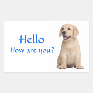 Hallo / Hi Labrador Retriever Welpen Hund Aufklebe Rechteckiger Aufkleber