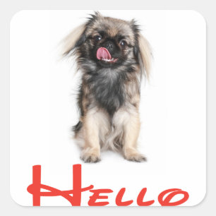 Hallo / Hi Pekingeser Welpen Hund Gruß Aufkleber