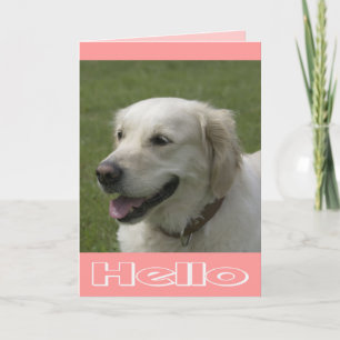 Hallo, Ich Denke An Dich Golden Retriever Welpen G Karte
