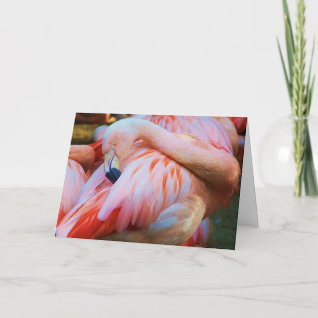 Hallo/Jede Occasion Card_ Karte (Vorderseite)