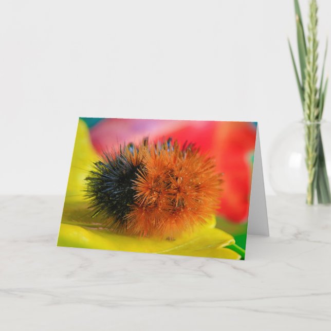 Hallo Karte (Vorderseite)