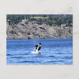 Hallo, komm einfach auf! postkarte