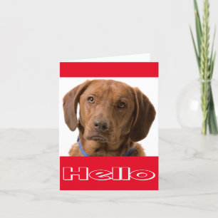 Hallo Labrador Retriever Puppy Doppy Note Card Karte