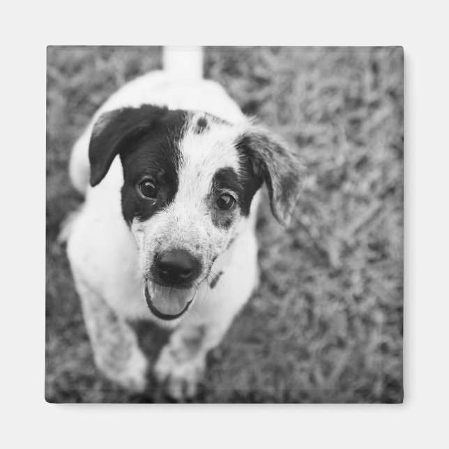 Hallo! Magnet (Vorne)