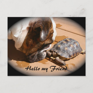 Hallo meine Freundin Post-Karte Postkarte