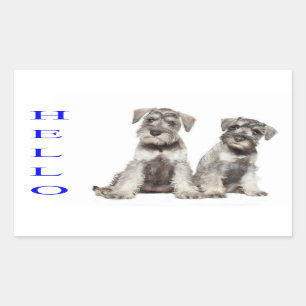 Hallo Miniatur Schnauzer Welpen-Hundeaufkleber Rechteckiger Aufkleber