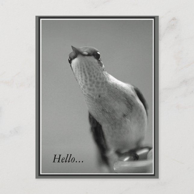 Hallo...mit Text Postkarte (Vorderseite)