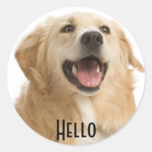 Hallo Niedlich Golden Retriever Puppy Docking Stic Runder Aufkleber (Vorderseite)