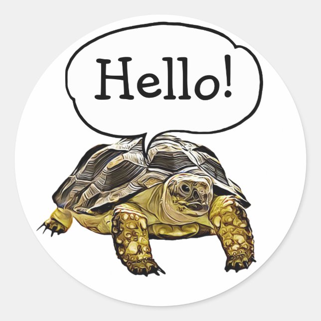Hallo Niedlich Turtle Stickers (Vorderseite)