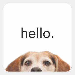 Hallo Niedlicher Funny Beagle Hund Moderne Moderne Quadratischer Aufkleber