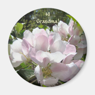 HALLO OMA! Magnet Geschenke APPELBLÜTEN Magnet
