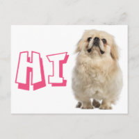 Hallo Pekinese Welpen-Hund Postkarte