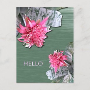 Hallo Pink Flower Bromeliad Postkarte