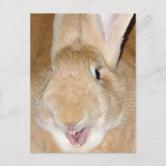 Hallo Postkarte
