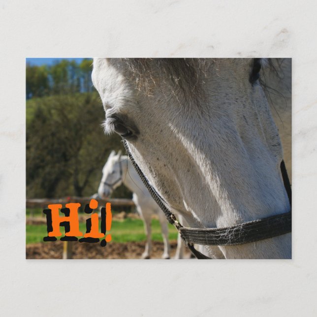 Hallo! Postkarte (Vorderseite)