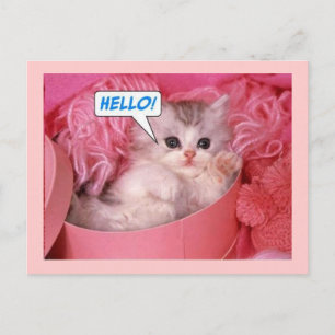 Hallo Postkarte