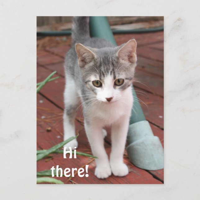 Hallo! Postkarte (Vorderseite)