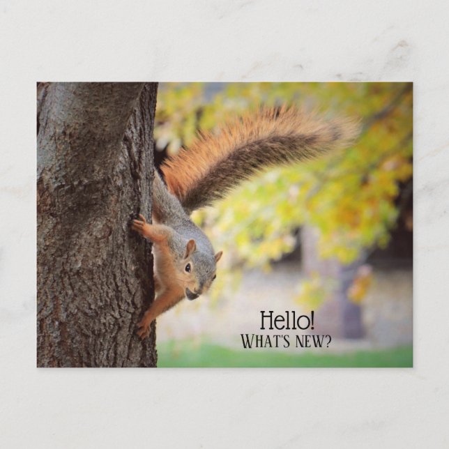 Hallo, Postkarte eintragen (Vorderseite)