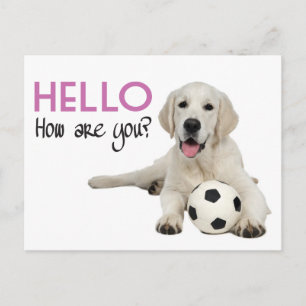 Hallo Postkarte für einen gelben Labrador Retrieve