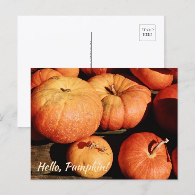 Hallo, Pumpkin! Feiertagspostkarte (Vorne/Hinten)