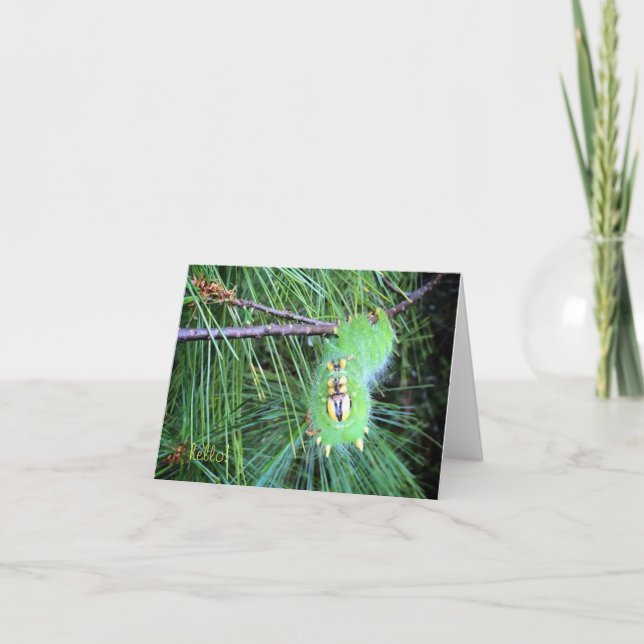 hallo Raupe notecard Karte (Vorderseite)