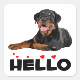 Hallo Rottie Welpenhund Süßer Rottweiler Quadratischer Aufkleber