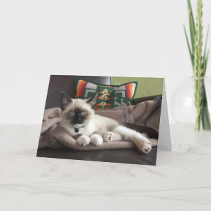 Hallo schön Siamese Kitten Denken Sie an Sie Karte