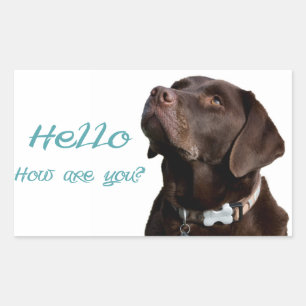 Hallo Schwarz Brauner Labrador Retriever Aufkleber