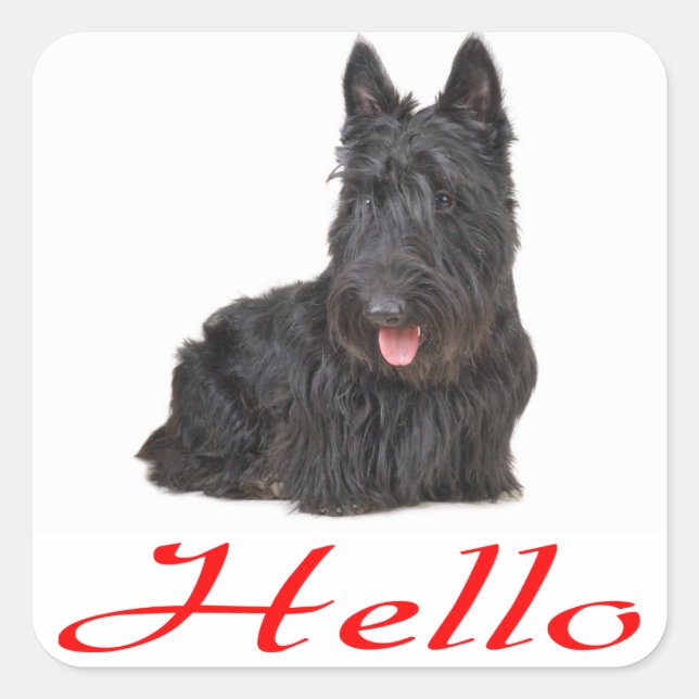 Hallo Scottish Terrier Puppy Dodge Sticker / Label (Vorderseite)