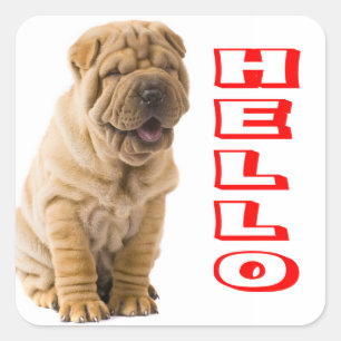 Hallo Shar Pei Puppy Dog Sticker / Siegel