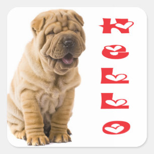 Hallo Shar Pei Puppy Dog Sticker / Siegel